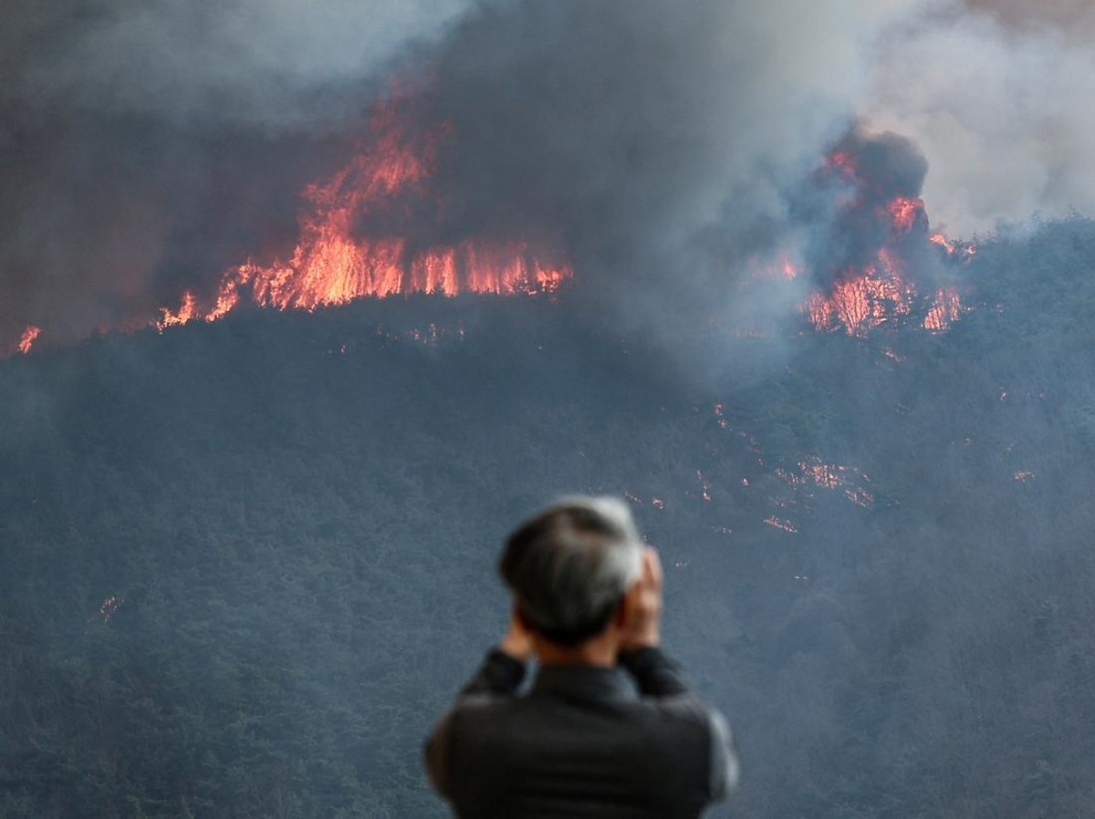 Kebakaran Hutan Terbesar Melanda Korea Selatan dan Jepang: Dampak dan Penanganannya