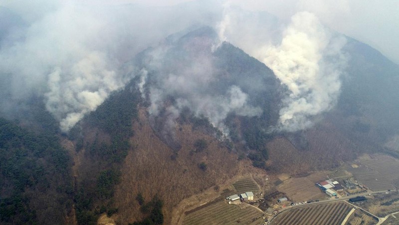 Houses burn in a village after being engulfed by a wildfire fueled by strong winds in Uiseong, South Korea, Monday, March 24, 2025. (Yoon Gwan-shick/Yonhap via AP)