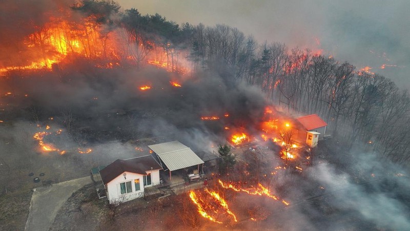 Houses burn in a village after being engulfed by a wildfire fueled by strong winds in Uiseong, South Korea, Monday, March 24, 2025. (Yoon Gwan-shick/Yonhap via AP)