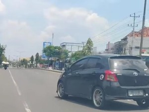 Seekor Rusa Viral Santuy Nyelonong di Jalan Jogja-Solo Klaten