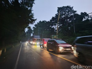 Jalan Denpasar-Gilimanuk Padat Merayap, Antrean Kendaraan Capai 8 Kilometer