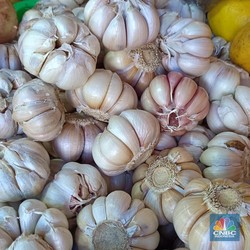 Bawang Putih Jadi Sorotan Ombudsman, Ini Masalahnya