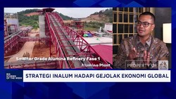 Video: Bos Inalum Buka-bukaan Jurus Mencapai Swasembada Aluminium