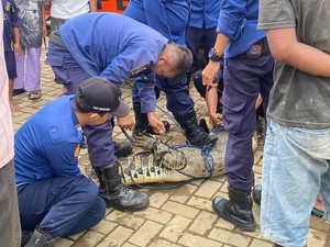 Warga Tangkap Buaya Besar yang Gigit Bocah 10 Tahun di Desa Kohod