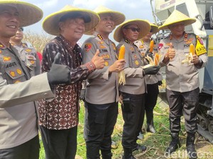 Kapolda Jatim Pimpin Panen Raya Jagung Hibrida di Sidoarjo