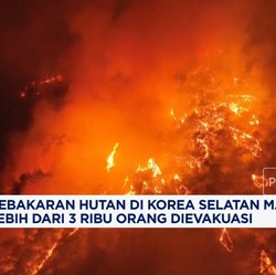 Video: Kebakaran Hutan di Korea Selatan Makin Ganas