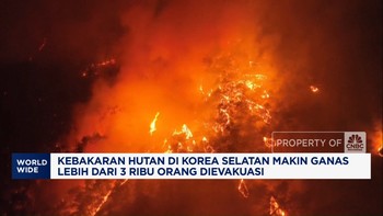 Video: Kebakaran Hutan di Korea Selatan Makin Ganas