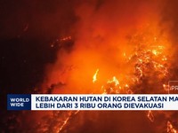 Video: Kebakaran Hutan di Korea Selatan Makin Ganas