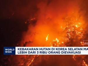 Video: Kebakaran Hutan di Korea Selatan Makin Ganas