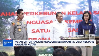 Video: Kejagung Berhasil Tertibkan 1 Juta Kawasan Hutan Ilegal