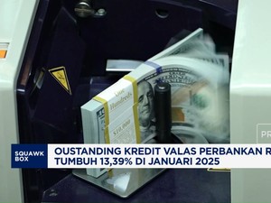 Video: Oustanding Kredit Valas Perbankan Tumbuh 13,39% di Januari 2025