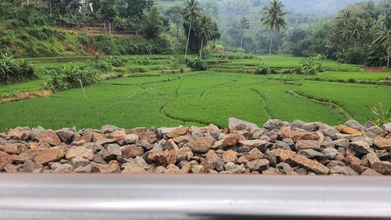 Pemandangan dari jendela kereta api yang melaju di Lebak Jero/Dok: Istimewa.