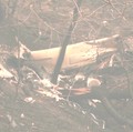 Helikopter AU Dilaporkan Jatuh, 8 Tewas