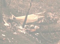 Helikopter AU Dilaporkan Jatuh, 8 Tewas