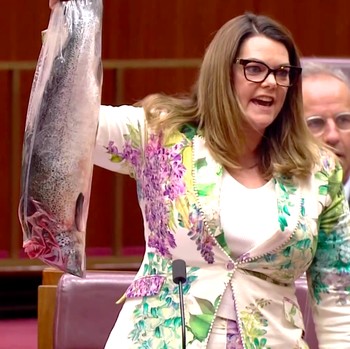 Heboh! Potret Senator Australia Bawa Ikan Mati Saat Sidang Parlemen
