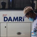 Damri Buka Rute Baru Jakarta-Denpasar, Tarifnya Cuma Segini