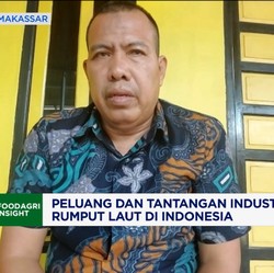 Video: Iklim Usaha Lesu, Kesejahteraan Petani Rumput Laut RI Terancam!
