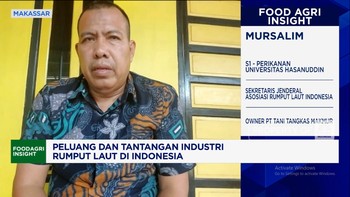 Video: Iklim Usaha Lesu, Kesejahteraan Petani Rumput Laut RI Terancam!
