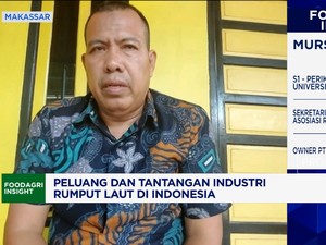 Video: Iklim Usaha Lesu, Kesejahteraan Petani Rumput Laut RI Terancam!