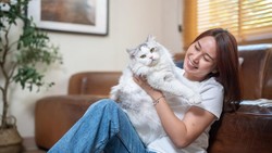 Video: Benarkah Kucing Berbahaya buat Ibu Hamil?