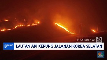 Video: Lautan Api Kepung Jalanan Korea Selatan