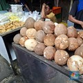 Harga Kelapa Hari ini Rp18.000/ Kg, Benaran Makin Langka?