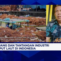 Video: Pembeli Lokal Terbatas, Petani Rumput Laut Harus Cari Pasar LN