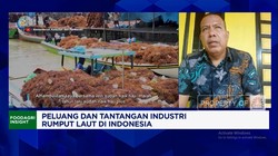 Video: Pembeli Lokal Terbatas, Petani Rumput Laut Harus Cari Pasar LN