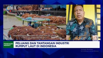 Video: Pembeli Lokal Terbatas, Petani Rumput Laut Harus Cari Pasar LN