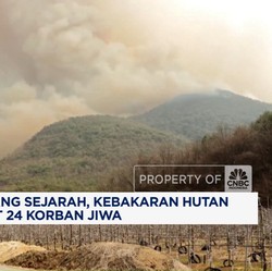 Video: Terburuk! Kebakaran Hutan di Korsel Renggut 24 Korban Jiwa