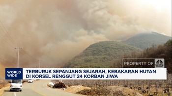 Video: Terburuk! Kebakaran Hutan di Korsel Renggut 24 Korban Jiwa