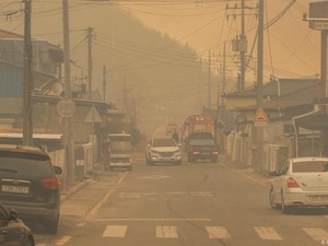 Kebakaran Hutan di Korsel Catat Rekor Paling Besar dan Mematikan