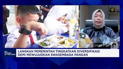 Video: Langkah Pemerintah Wujudkan Swasembada Pangan