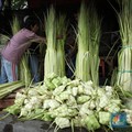 Tradisi Ketupat Muncul 500 Tahun Lalu, Ini Maknanya dalam Bahasa Jawa
