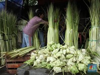Tradisi Ketupat Muncul 500 Tahun Lalu, Ini Maknanya dalam Bahasa Jawa