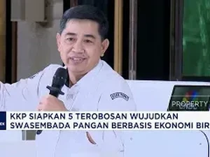 Video: Kejar Swasembada Pangan 2025, Pemerintah Siapkan