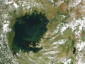 Tanda Bahaya! Danau Tropis Terbesar di Dunia Berubah Jadi Hijau