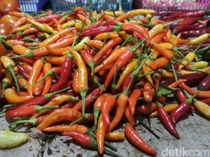 Harga Sembako Jogja Hari Ini 31 Juli 2025: Ada Update Rawit Merah-Hijau