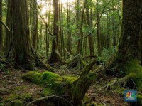 Bikin Penasaran, Ini Dia 10 Tempat Paling Misterius di Dunia