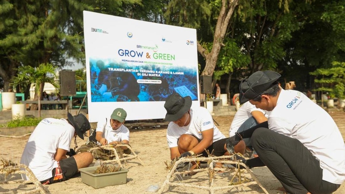 BRI Beraksi: Inisiatif Grow dan Green untuk Selamatkan Terumbu Karang di NTB!