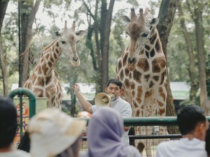 Video: Suasana Taman Margasatwa Ragunan di Penghujung Libur Lebaran