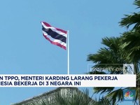 Video: Rawan TPPO, Pemerintah Larang Kerja di 3 Negara Ini