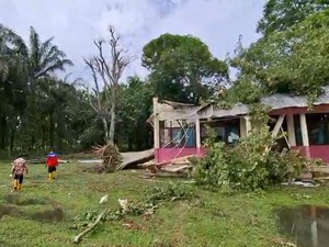 3 Ruang Kelas SD Negeri di Ogan Ilir Rusak Parah Usai Tertimpa Pohon Tumbang