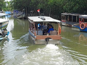 Serunya Menyusuri Mangrovesari Brebes Naik Perahu