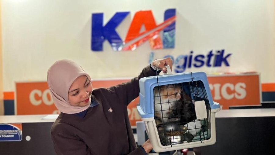 Pengiriman hewan peliharaan dengan kereta. (Dok. KAI)