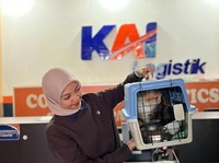 Pengiriman Paket Hewan Lewat KA saat Lebaran Naik, Kucing Terbanyak