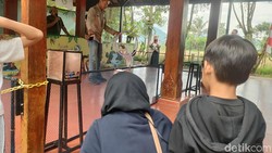 Sibuknya Mochi Si Kucing Hutan, Menghibur Pengunjung Taman Satwa Cikembulan