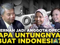 (Part 1) Pernah Jadi Anggota OPEC, Apa Untungnya buat Indonesia?