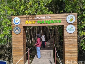 Ekowisata Bale Mangrove Ramai Dikunjungi Wisatawan Saat Libur Lebaran