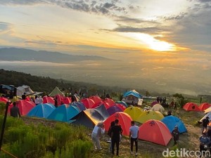 Menikmati Indahnya Pagar Alam dari Ketinggian di Kebun Raya Dempo